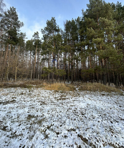 земля г Лаишево ул Весенняя 1 городское поселение Лаишево фото