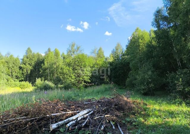 земля с Елховка Нижний Новгород фото