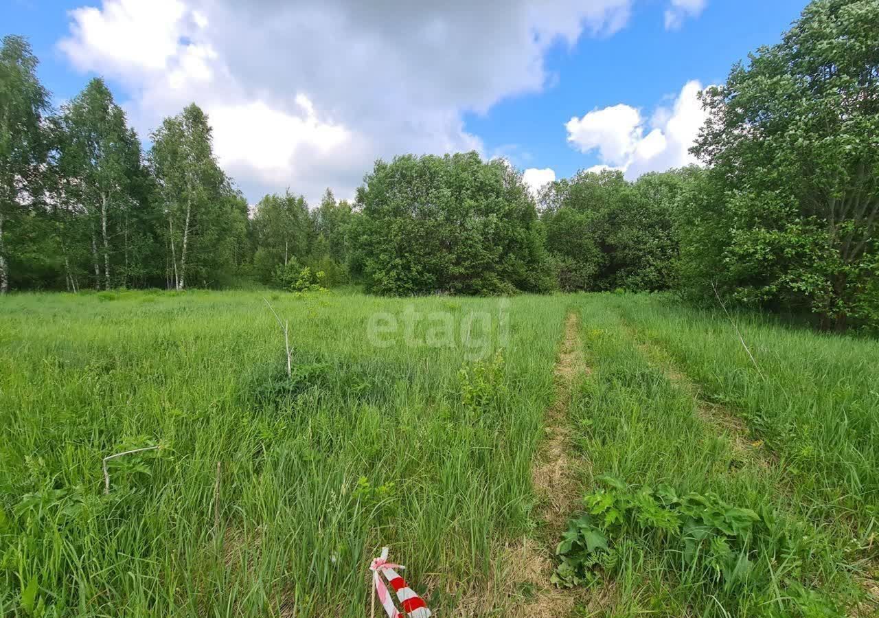 земля р-н Кстовский с Елховка Нижний Новгород фото 3