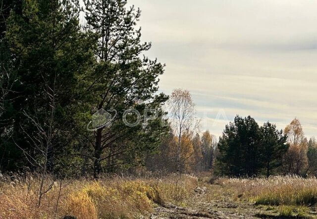 ул Звездная Тюмень фото