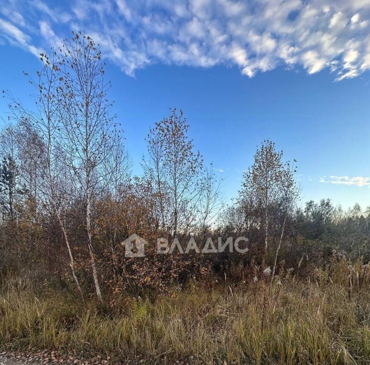 земля р-н Богородский с Каменки сад Ленинец-10 фото 4