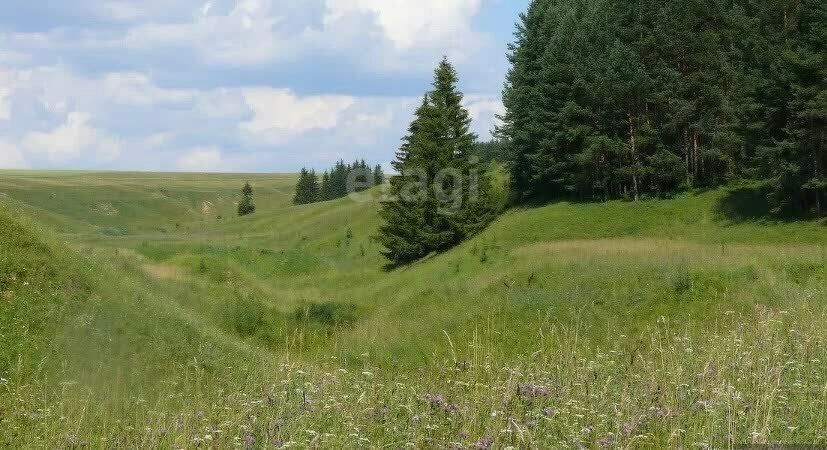 земля р-н Волжский д Карай Петъяльское сельское поселение фото 5