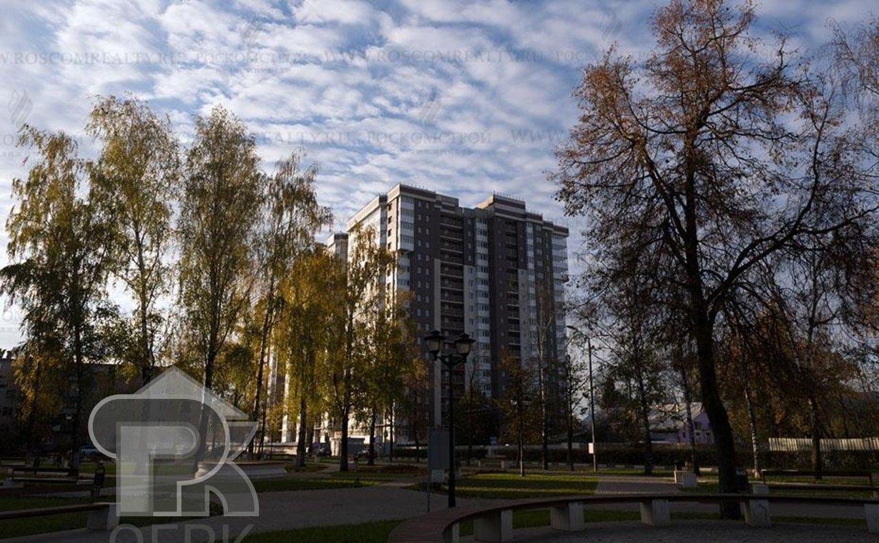 квартира городской округ Богородский г Старая Купавна ул Октябрьская 14а фото 1