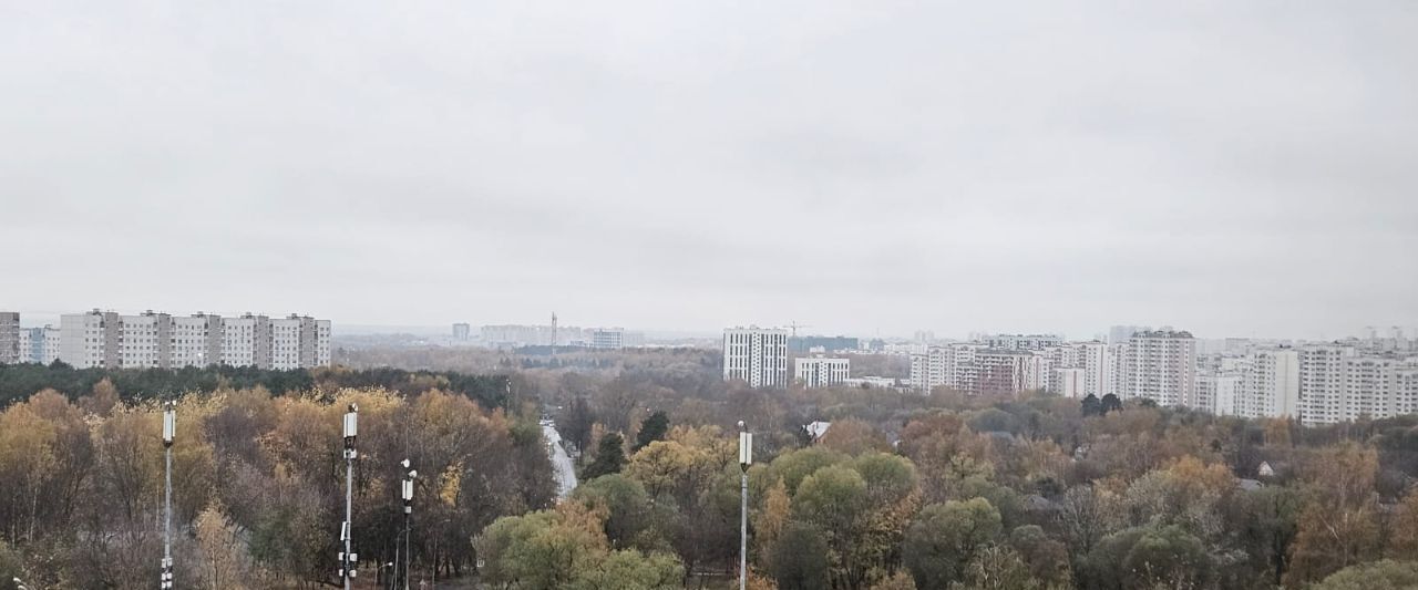 квартира городской округ Ленинский п Бутово ЖК Бутово Парк 8 Бутово фото 17