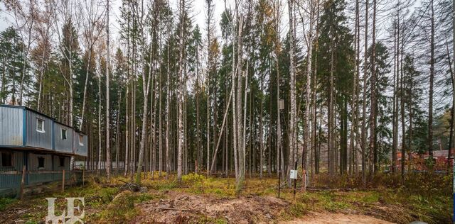 земля мкр Новогорск Лес ТСН, Пятницкое шоссе фото