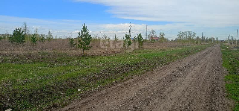 земля р-н Первомайский п Новый микрорайон Александрова слобода фото 4