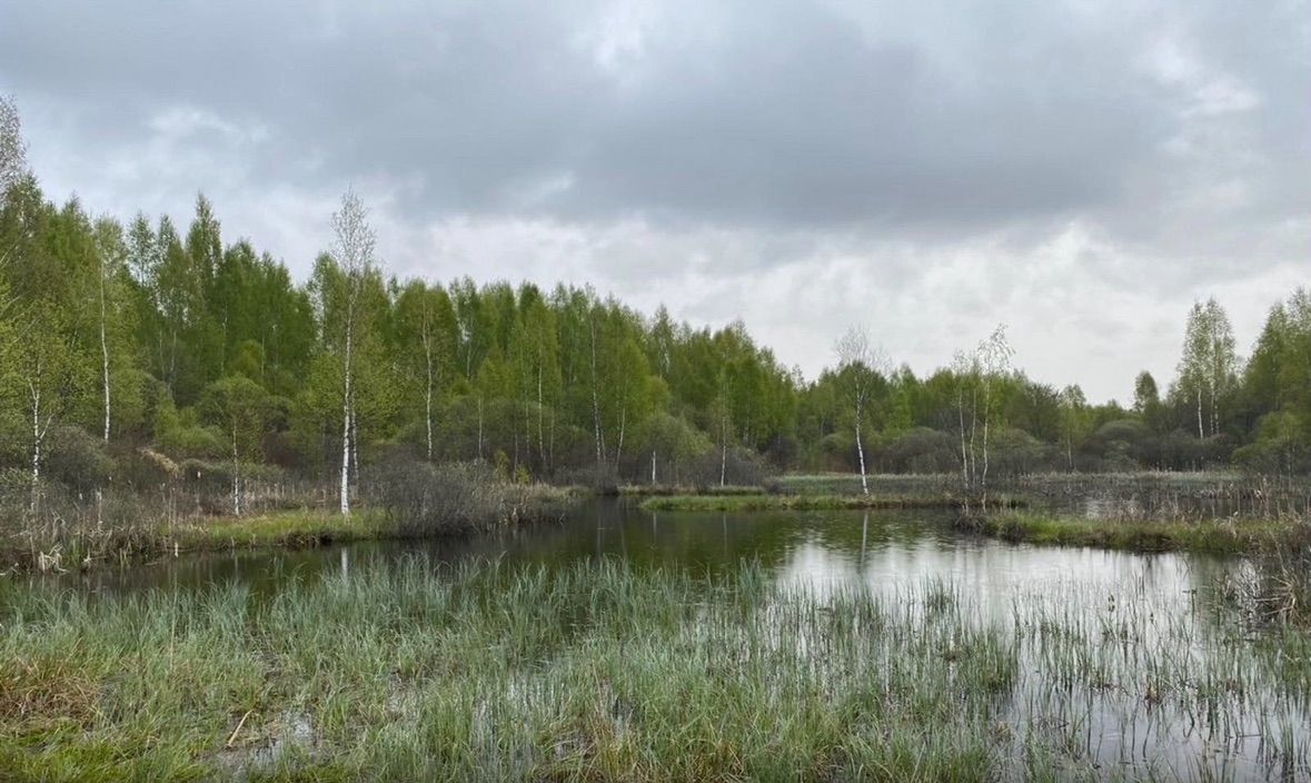 земля р-н Смоленский д Лубня Хохловское сельское поселение, Смоленск фото 2