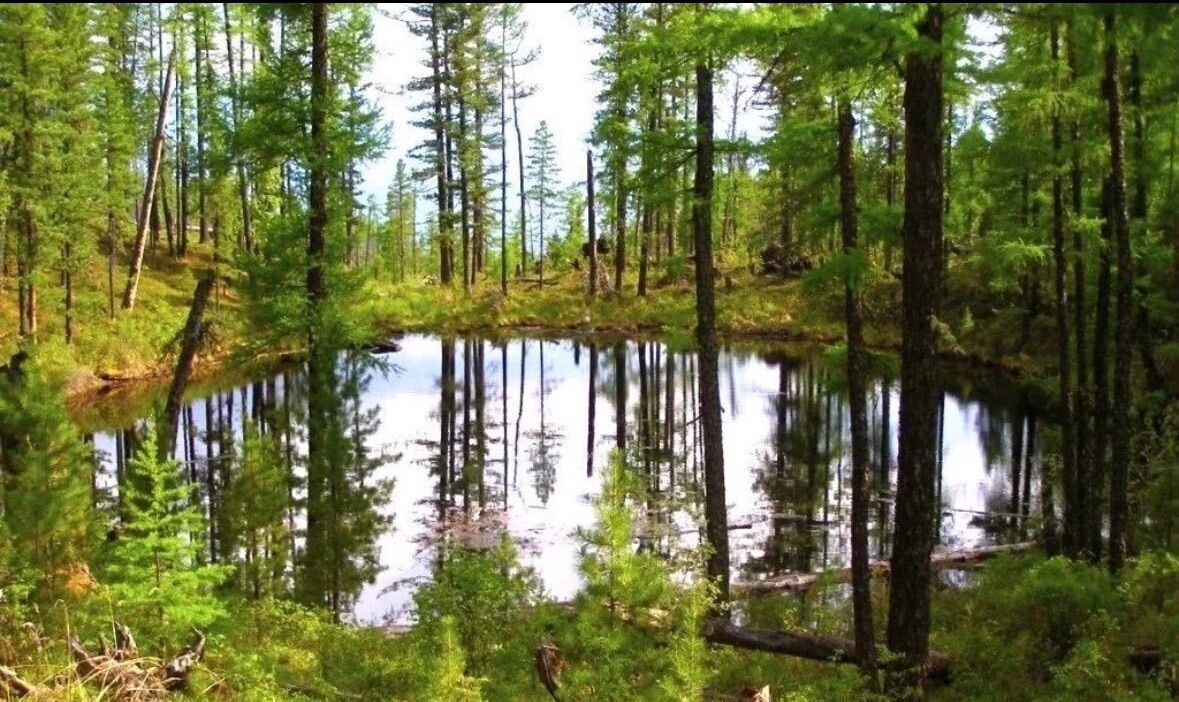 земля р-н Смоленский д Лубня Хохловское сельское поселение, Смоленск фото 8