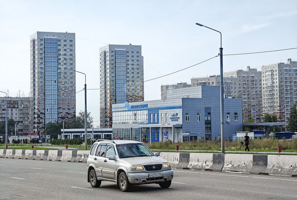 дом г Новосибирск метро Площадь Гарина-Михайловского р-н Октябрьский снт Труд 116 фото 12