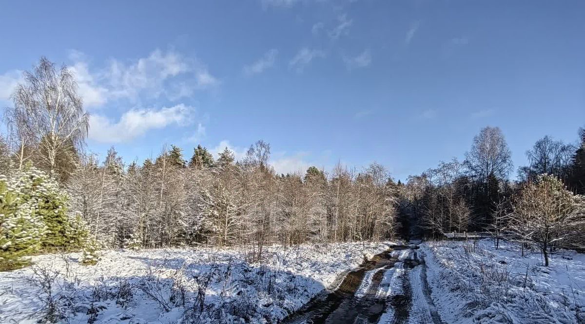 земля р-н Угличский д Палы Слободское с/пос фото 2