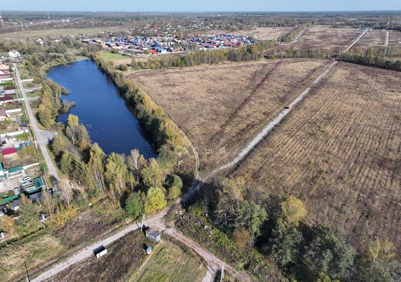 земля направление Горьковское (восток) ш Носовихинское 39 км, экопарк Бабеево, Электросталь фото 9