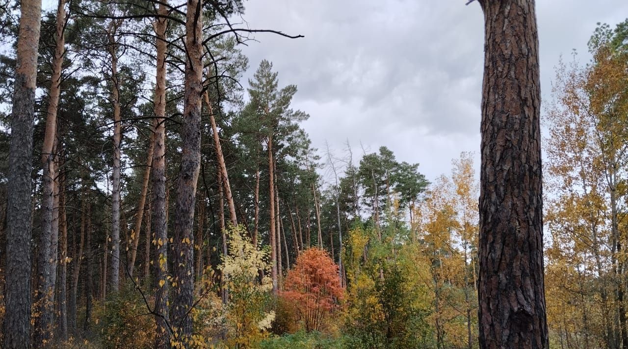 квартира р-н Омский Чернолучинский дп, Советская ул., 7 фото 26