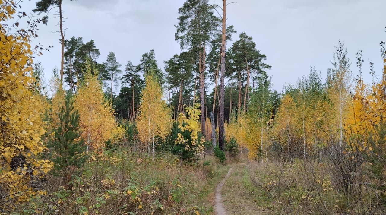 квартира р-н Омский Чернолучинский дп, Советская ул., 7 фото 29