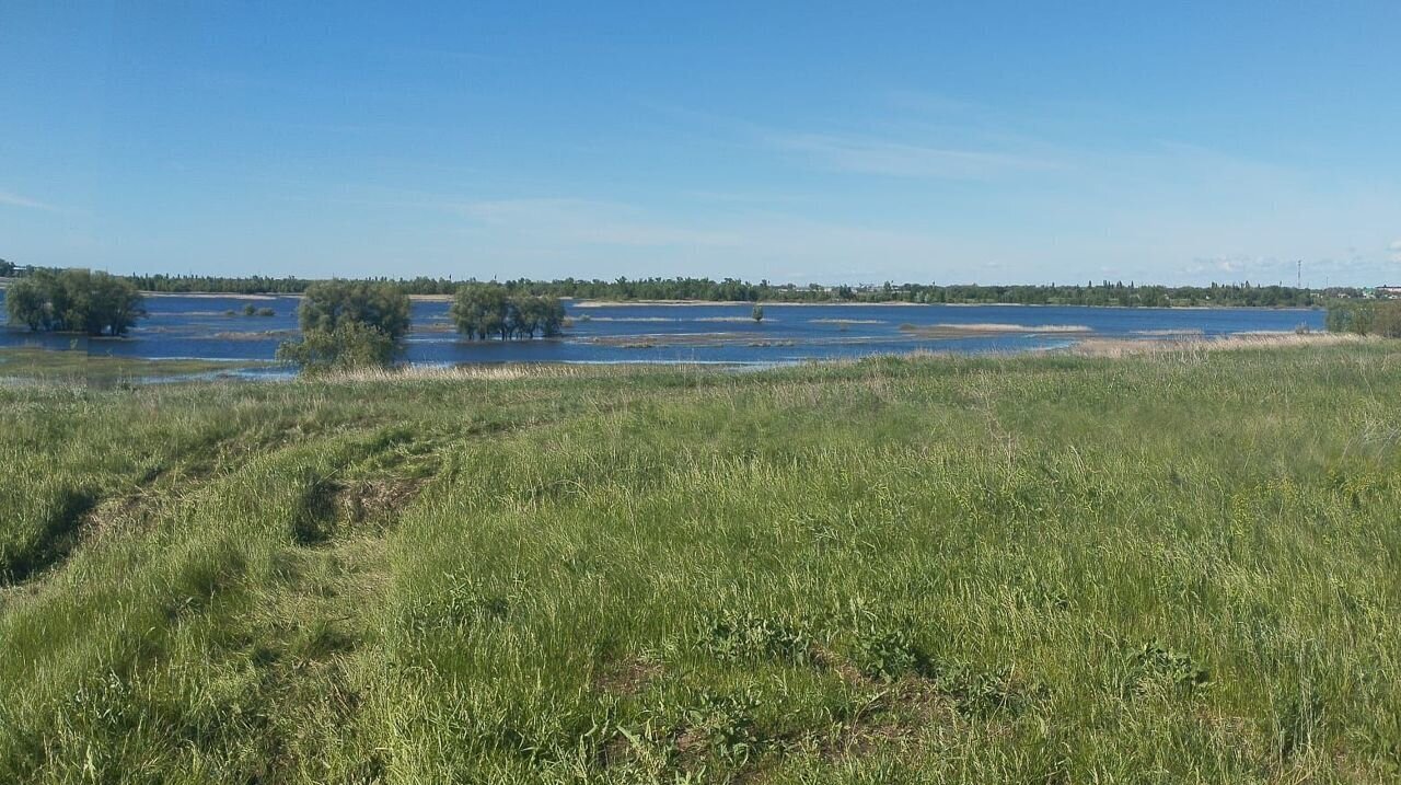 земля р-н Марксовский с Приволжское ул Набережная Маркс фото 2