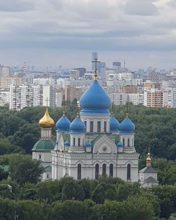 квартира г Москва Перерва ул Люблинская 74к/3 фото 16