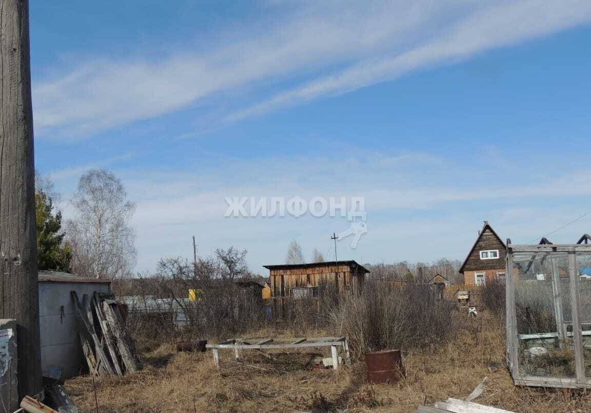 земля р-н Тогучинский рп Горный садоводческое товарищество Полянка фото 4