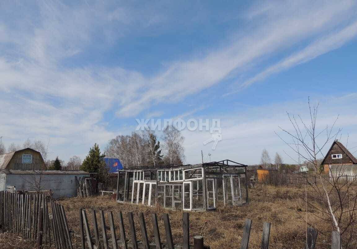 земля р-н Тогучинский рп Горный садоводческое товарищество Полянка фото 2