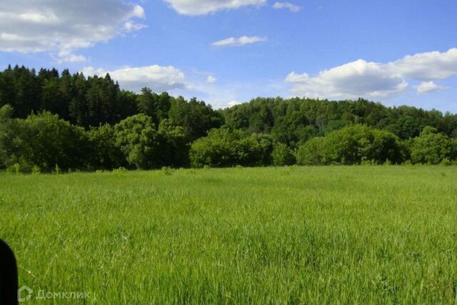 село Осокино фото