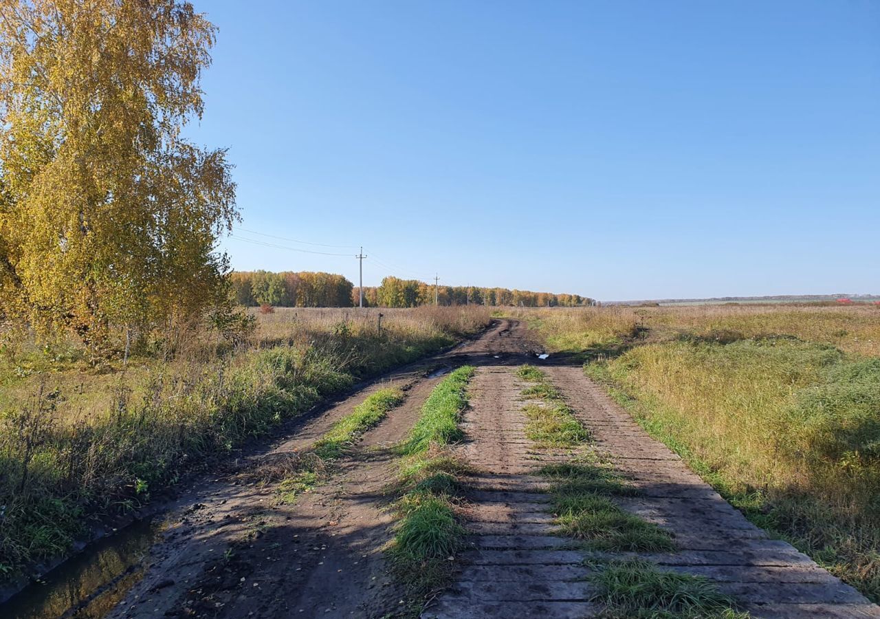 земля г Новосибирск р-н Центральный пр-кт Красный Площадь Ленина фото 4