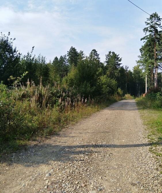 земля р-н Иркутский д Новогрудинина ДНТ Завидово, 3-я линия, 9 фото 4