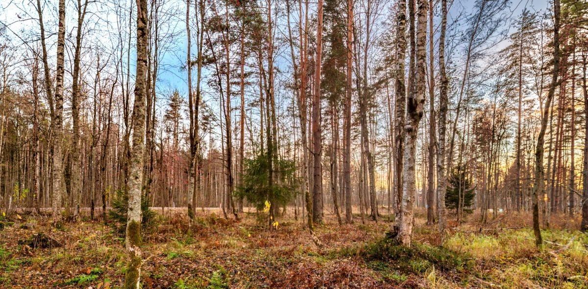 земля р-н Всеволожский Лесколовское с/пос, Резиденция у озера кп, Девяткино фото 6