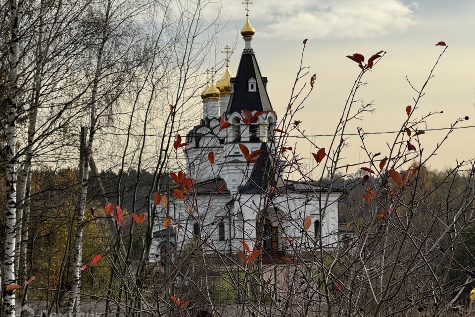 дом городской округ Пушкинский д Никольское снт Талица 97 фото 1