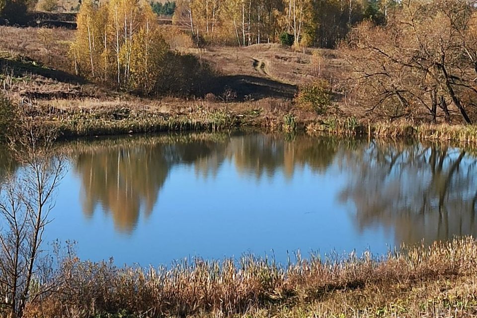 земля Коломна городской округ, д. Хлопна фото 2