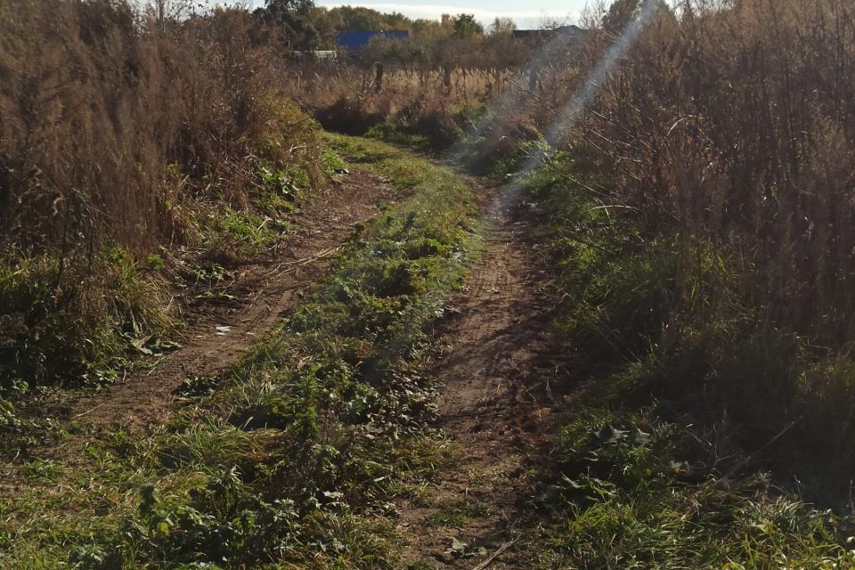 земля Коломна городской округ, д. Хлопна фото 3