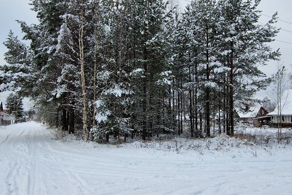 земля р-н Лодейнопольский городской посёлок Свирьстрой, улица 1 Мая, 11 фото 3