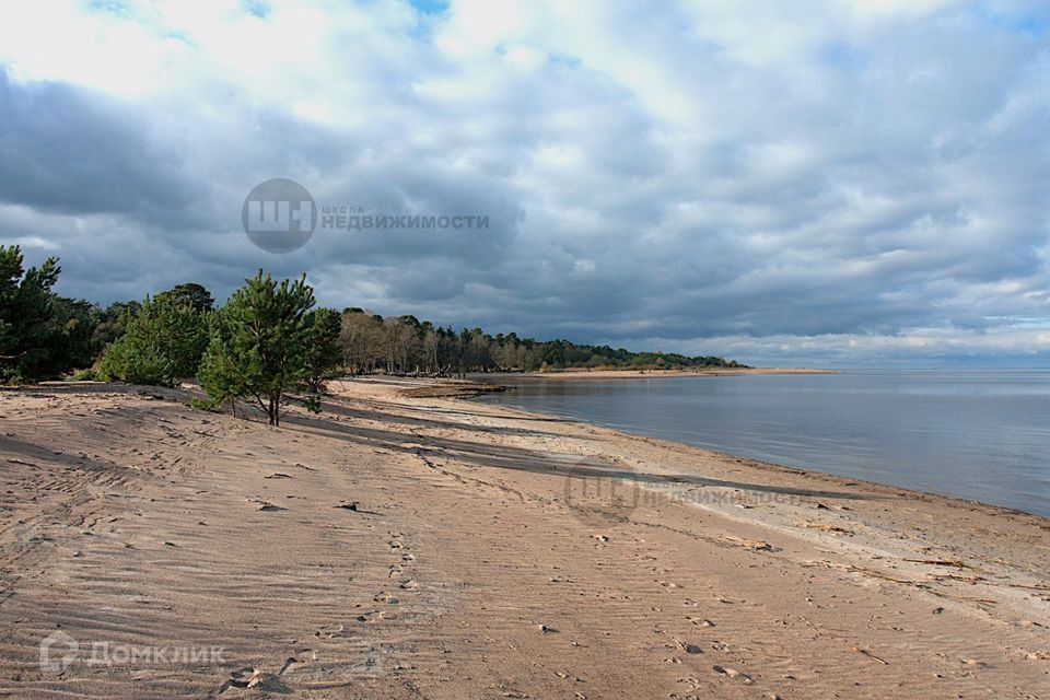 земля р-н Ломоносовский городской пос. Лебяжье фото 4