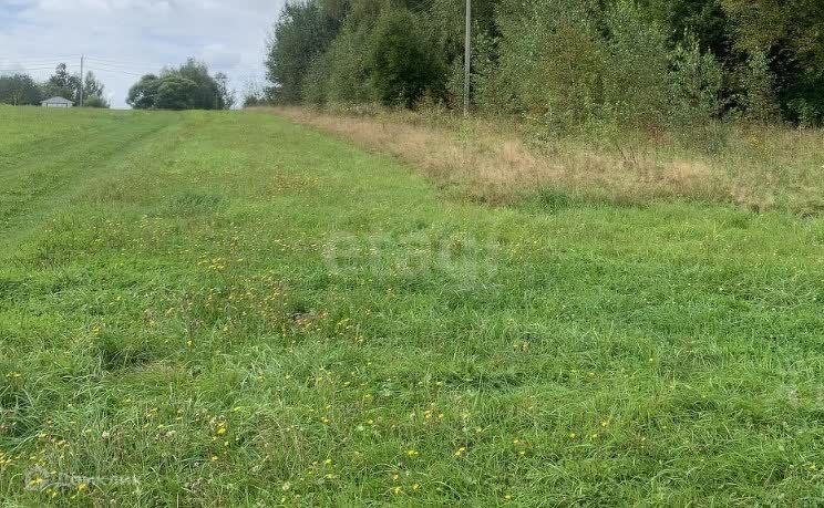 земля городской округ Талдомский фото 3