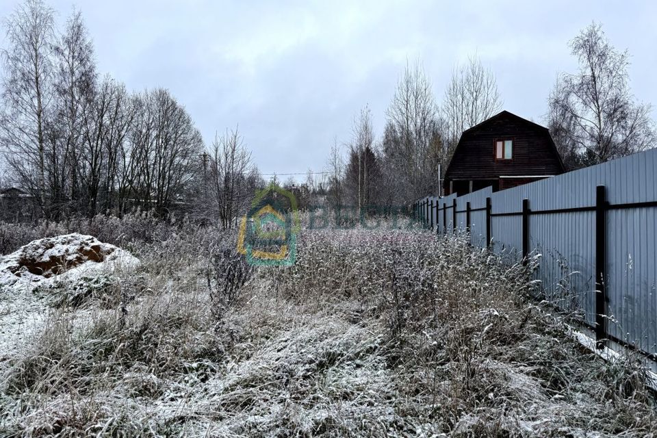 земля р-н Приозерский д. Светлое фото 3