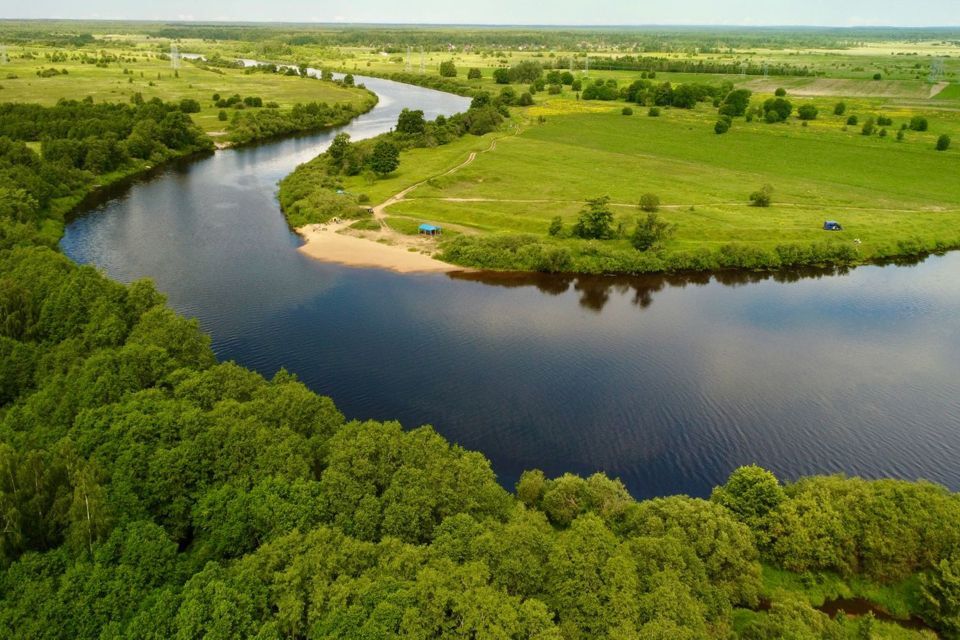 земля р-н Кингисеппский д. Александровская Горка фото 4