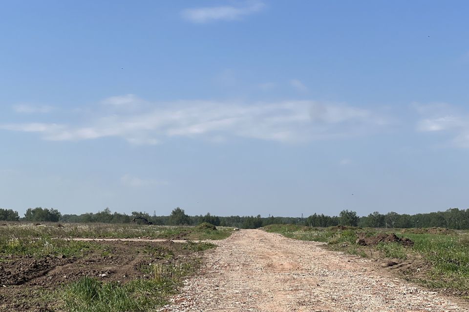 земля г Домодедово Барыбино м-н, Домодедово городской округ фото 5