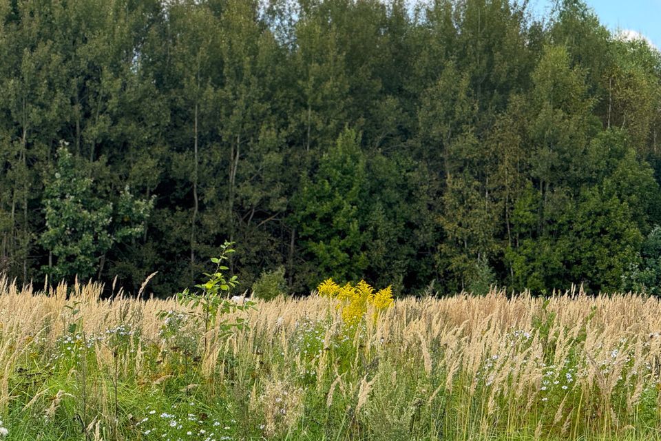 земля городской округ Дмитровский фото 8