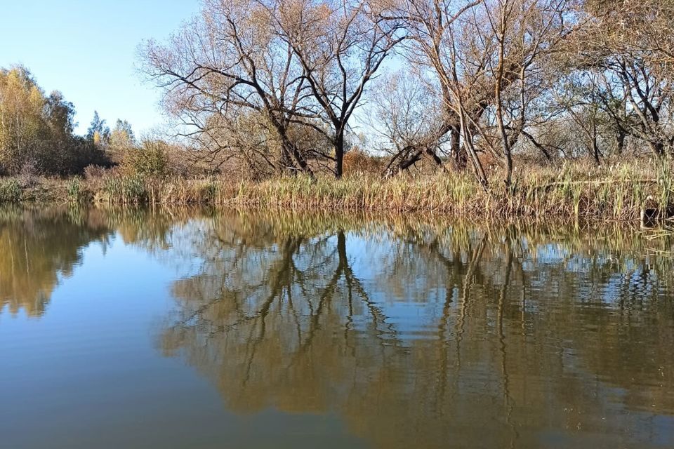 земля Коломна городской округ, д. Хлопна фото 8