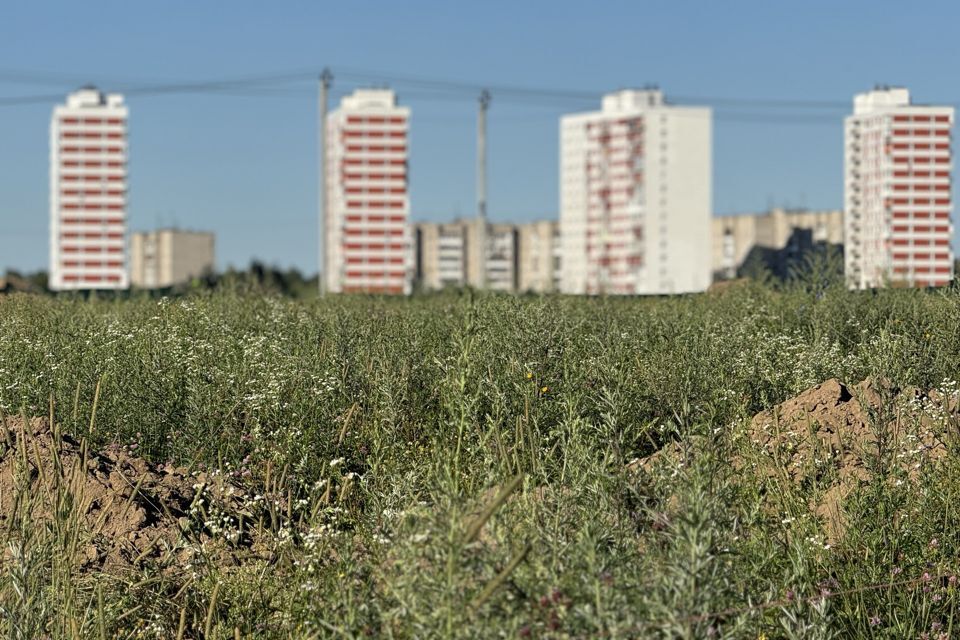 земля городской округ Пушкинский село Братовщина, вл 1 фото 10