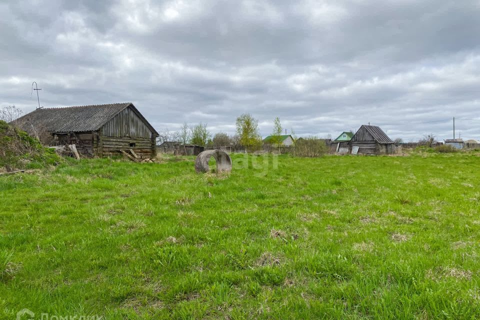 земля р-н Киришский д. Кусино фото 5