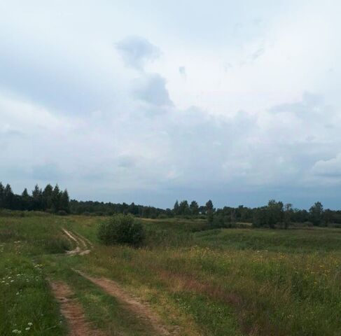 Переславль-Залесский городской округ фото