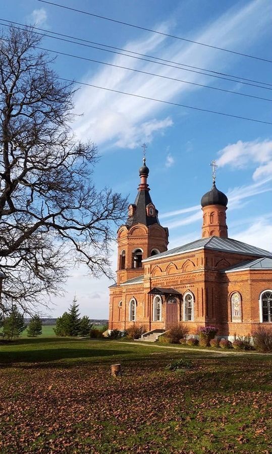 дом городской округ Наро-Фоминский г Верея 92 км, д. Дуброво, Киевское шоссе фото 20