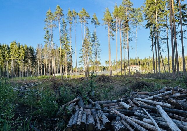 днп Озерная долина Выборгское шоссе, 13 км, Сертоловское городское поселение, 11, Сертолово, дачное некоммерческое партнёрство фото