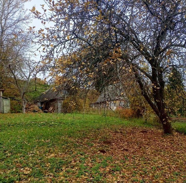 дом р-н Великолукский снт Лазурный Пореченская волость фото 16