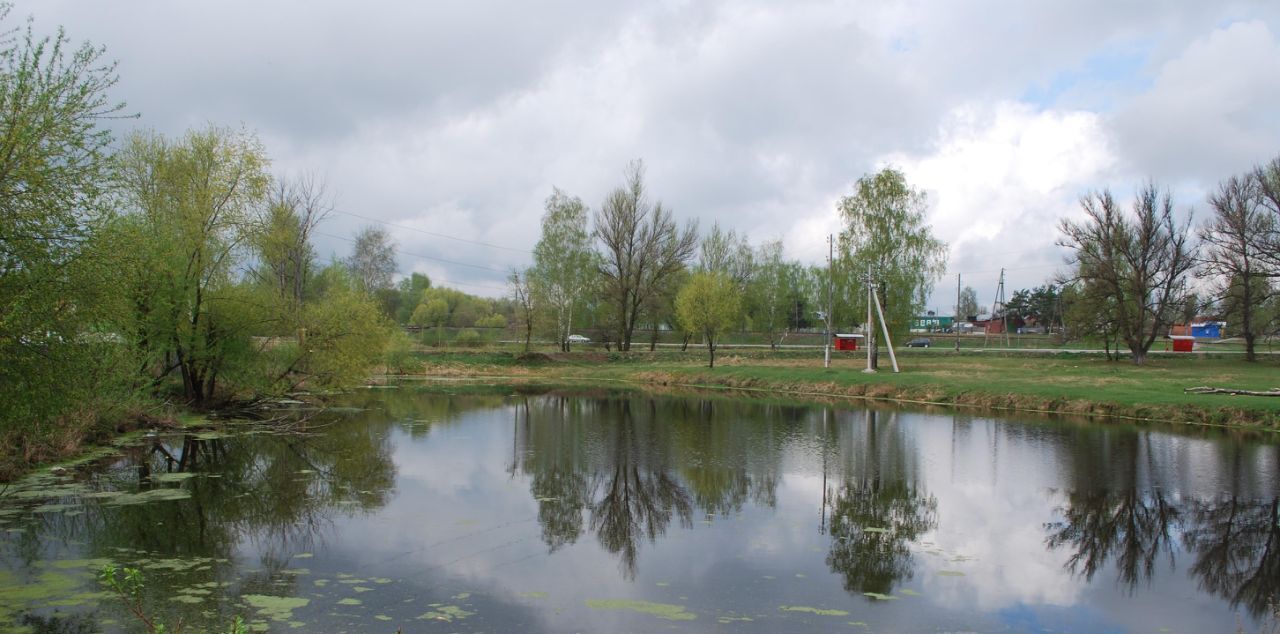 квартира г Озёры ул Челнок 14а Коломна городской округ фото 2