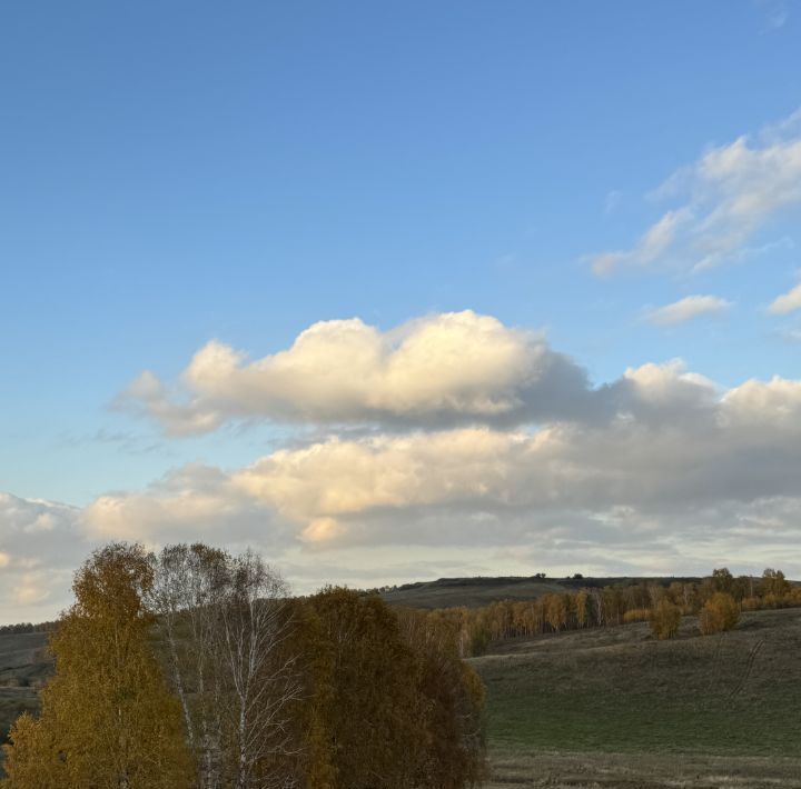 дом р-н Березовский с/с Зыковский сельсовет, Теремок кп, проезд Мира фото 17