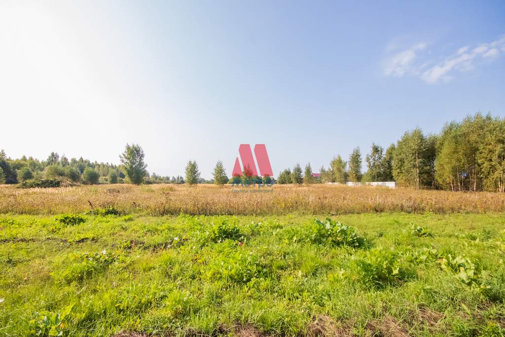 земля р-н Некрасовский д Шачебол фото 2