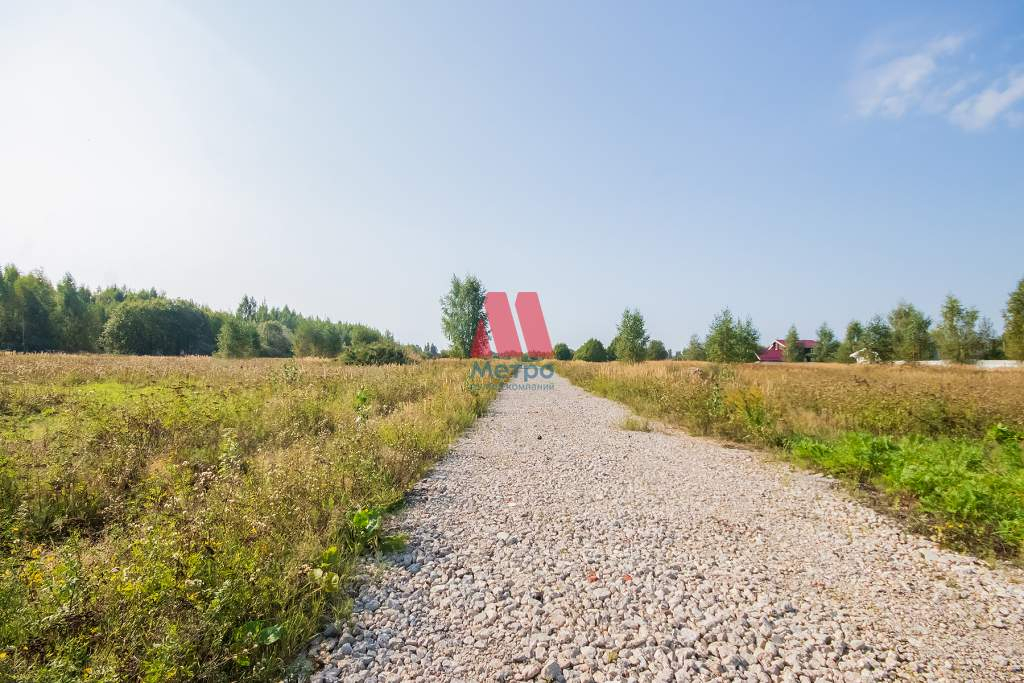 земля р-н Некрасовский д Шачебол фото 3