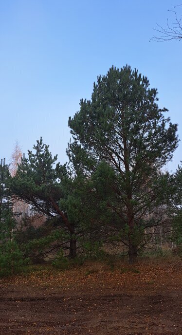 дом р-н Волховский г Сясьстрой Сясьстройское городское поселение фото 11