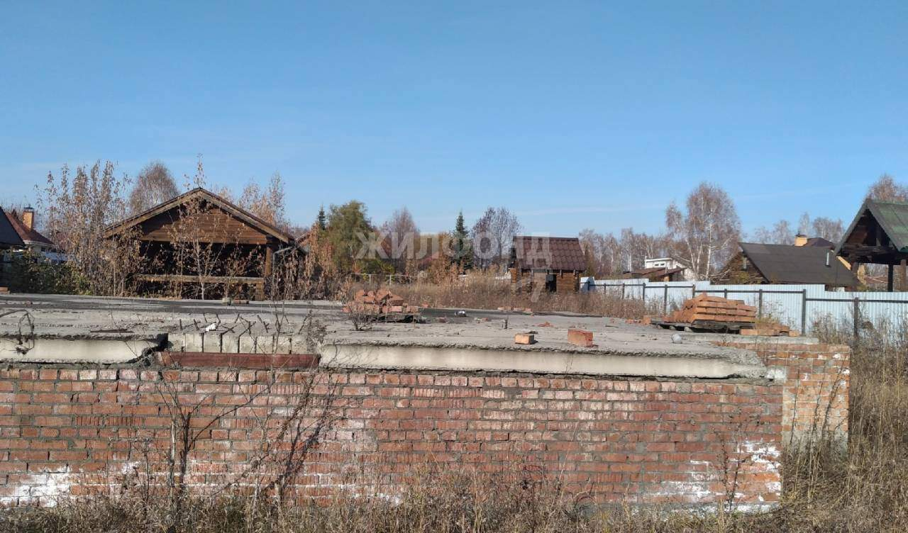 земля р-н Новосибирский с Боровое ул Обская фото 3