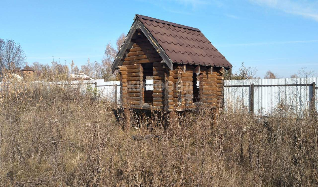 земля р-н Новосибирский с Боровое ул Обская фото 5