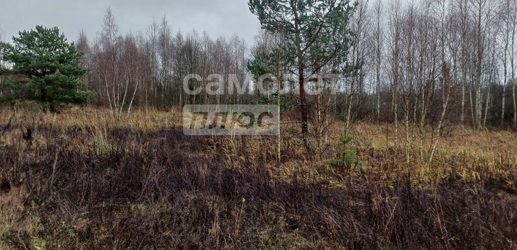 земля р-н Смоленский д Шпаки Смоленский муниципальный округ фото 1